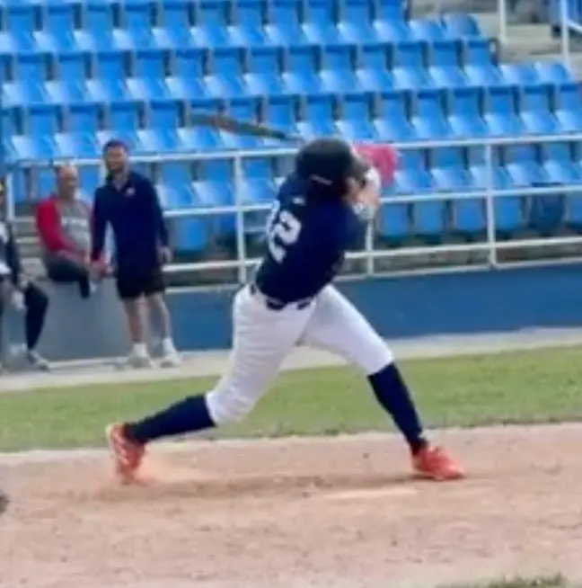 Gabriel Vasquez GRIQ Baseball Analysis Report 