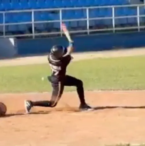 Jean Carlos Salgado Maldonado GRIQ Baseball Analysis Report