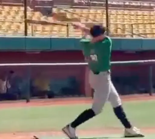 Manuel A Pagan Alvarado GRIQ Baseball Analysis Report