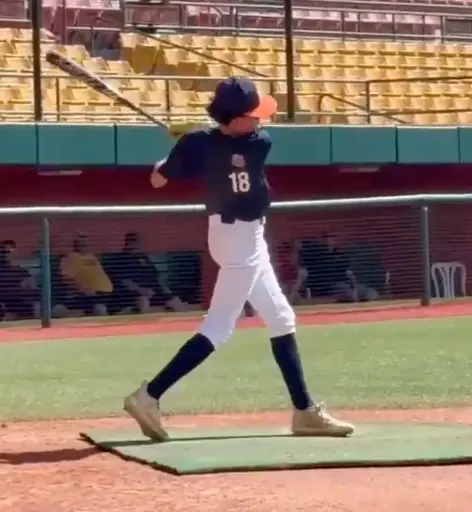 Rodrigo Armando Ramos GRIQ Baseball Analysis Report