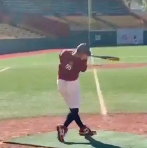 Yeiden Lopez Rodriguez GRIQ Baseball Analysis Report