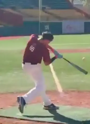 Brainel Delgado Mercado GRIQ Baseball Analysis Report