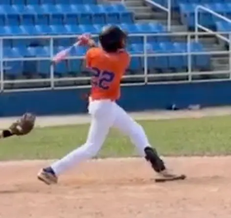 Soddel Voila GRIQ Baseball Analysis Report  